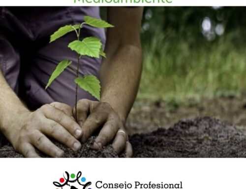 05 de Junio – Día Mundial del Medioambiente.