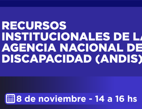 RECURSOS INSTITUCIONALES DE LA AGENCIA NACIONAL DE DISCAPACIDAD (ANDIS)