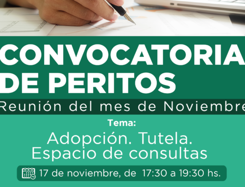 REUNIÓN DE PERITOS NOVIEMBRE